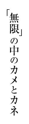 コラム31 「無限」の中のカメとカネ